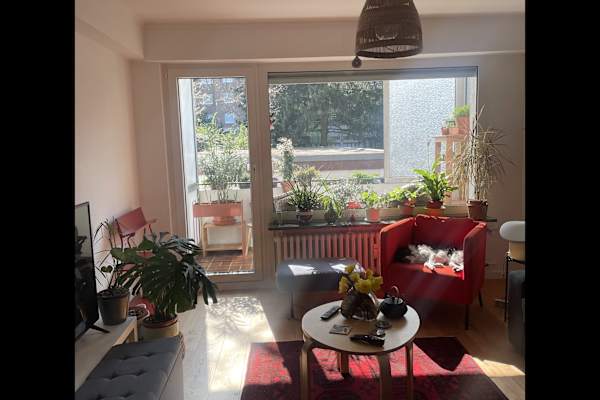 House sit in Köln, Germany