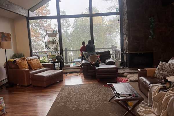 House sit in Evergreen, CO, US