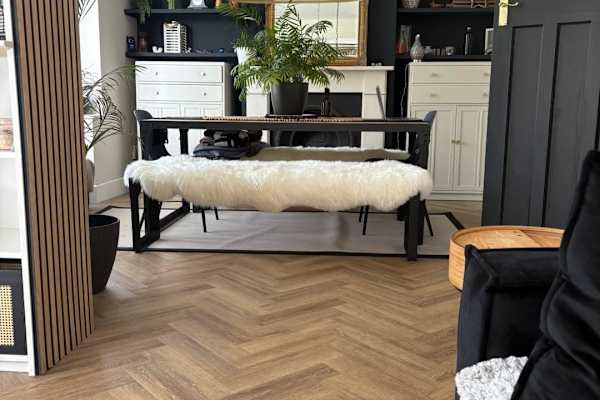 House sit in Brighton, United Kingdom
