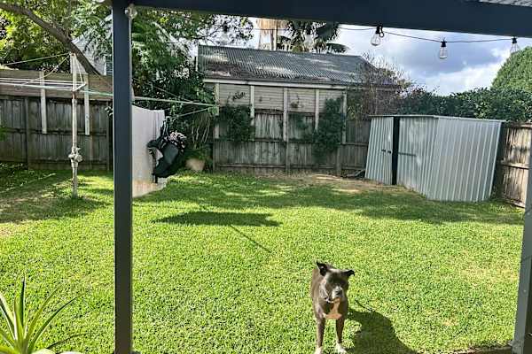 House sit in Sydney, NSW, Australia