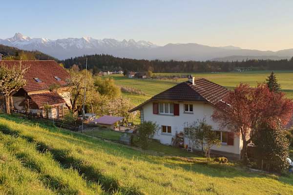 House sit in Brenzikofen, Switzerland