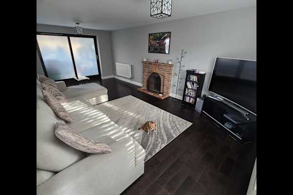 House sit in Colchester, United Kingdom