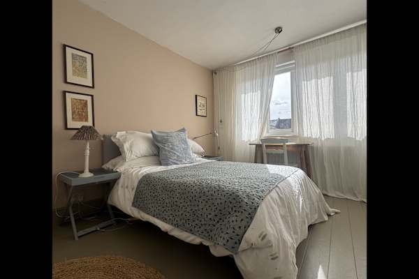 House sit in London, United Kingdom