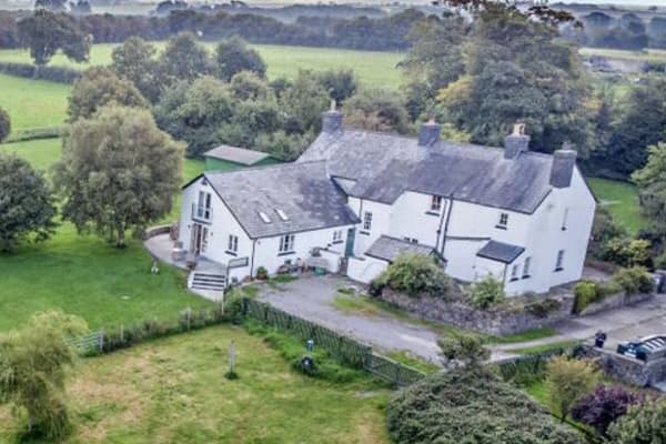 House sit in Cowbridge, United Kingdom