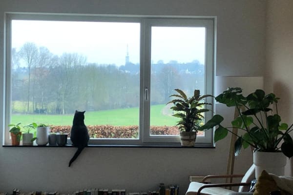 House sit in Maastricht, Netherlands