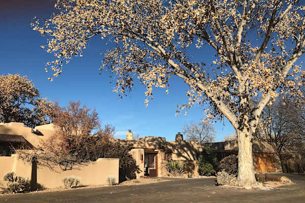 House sit in Los Ranchos de Albuquerque, NM, US