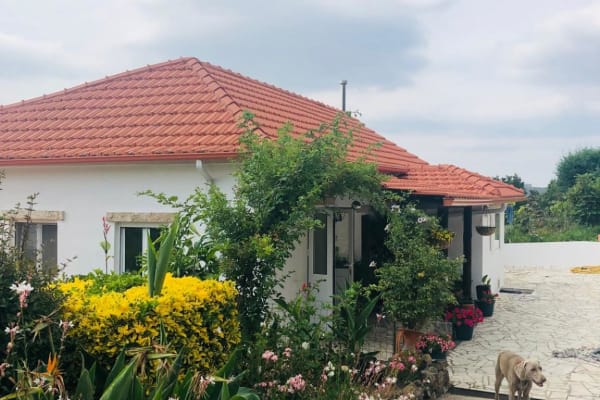 House sit in Miranda do Corvo, Portugal