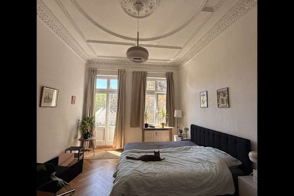 House sit in Leipzig, Germany
