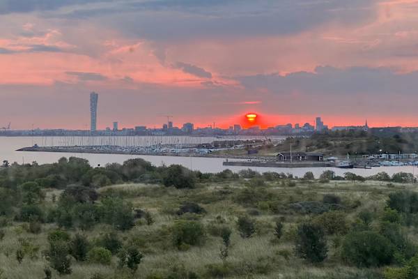 House sit in Malmö, Sweden