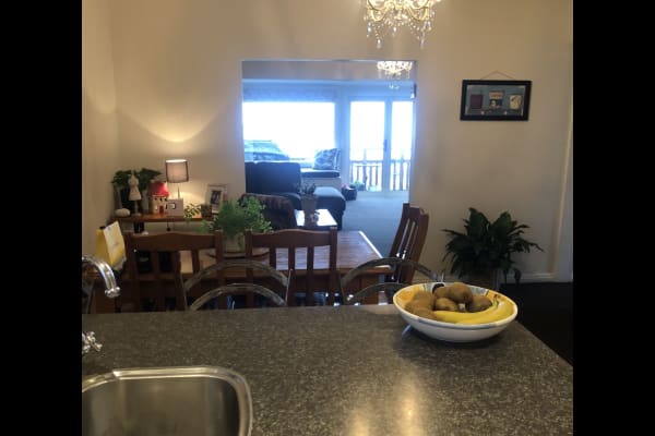 House sit in Dunedin, New Zealand