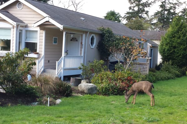 House sit in Anacortes, WA, US