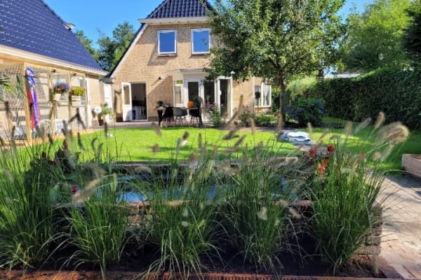 House sit in Drachten, Netherlands