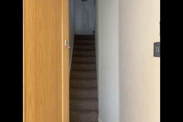 House sit in Cardiff, United Kingdom