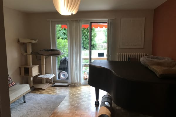 House sit in Zürich, Switzerland