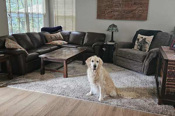 House sit in Arvada, CO, US