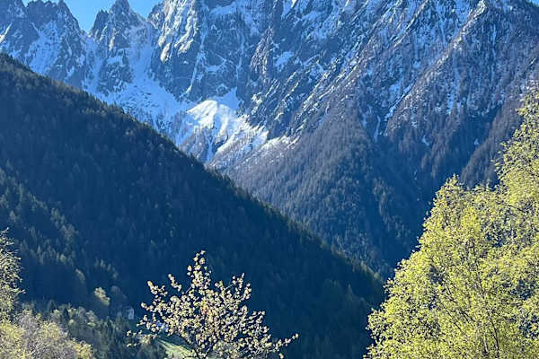 House sit in Prata Camportaccio, Italy