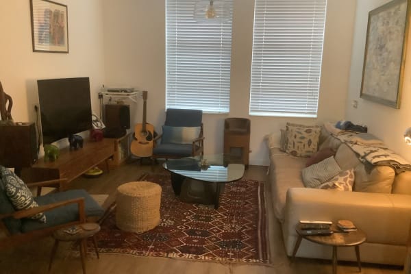 House sit in The Hague, Netherlands