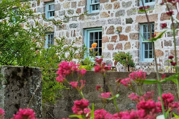 House sit in Tarland, United Kingdom