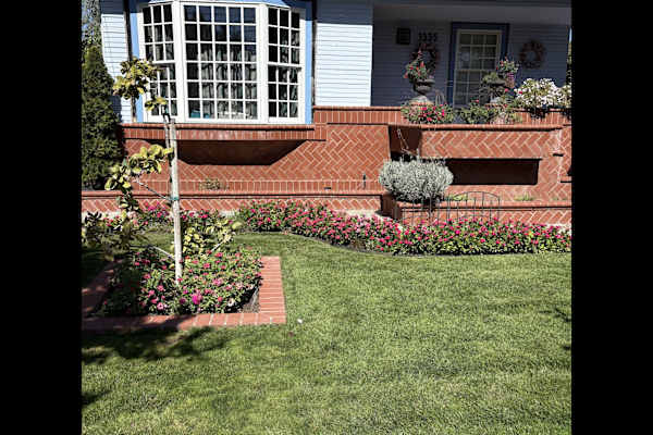 House sit in San Jose, CA, US