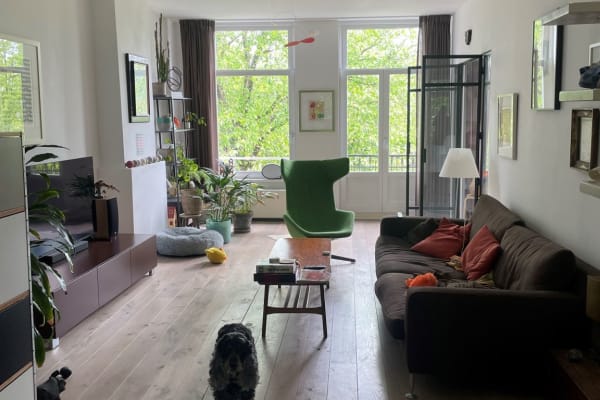 House sit in Amsterdam, Netherlands