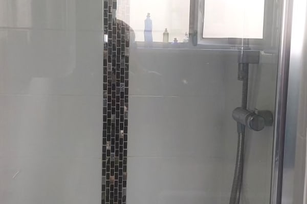 House sit in Falmouth, United Kingdom