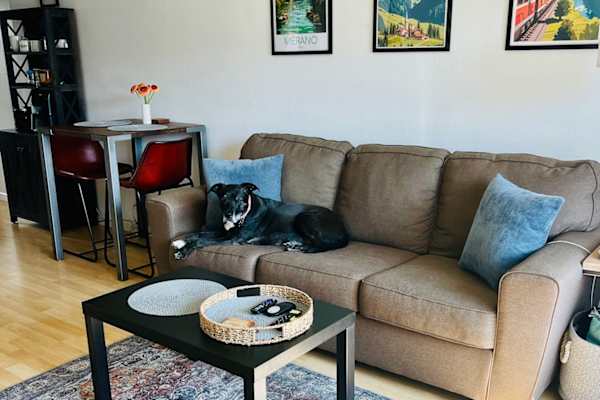 House sit in Mill Valley, CA, US