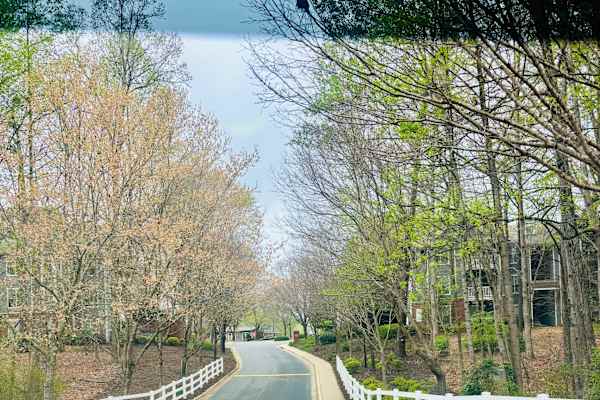 House sit in Atlanta, GA, US