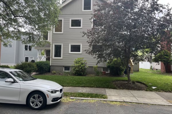 House sit in Brookline, MA, US