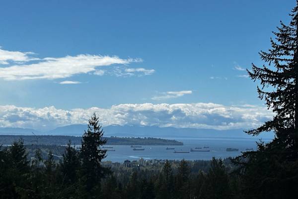 House sit in North Vancouver, BC, Canada