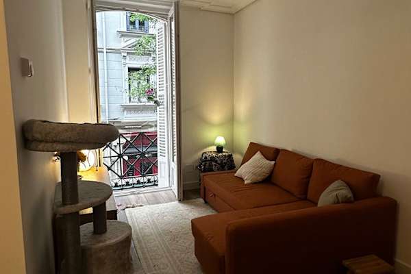 House sit in Bilbao, Spain