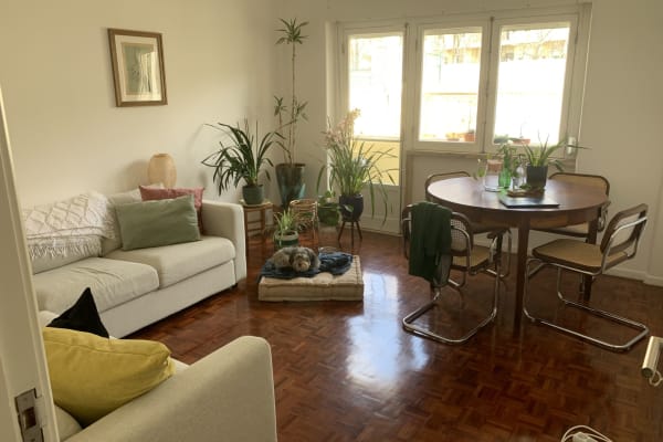House sit in Carcavelos, Portugal