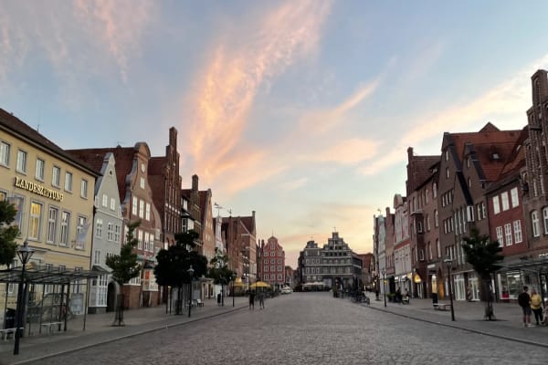 House sit in Lüneburg, Germany