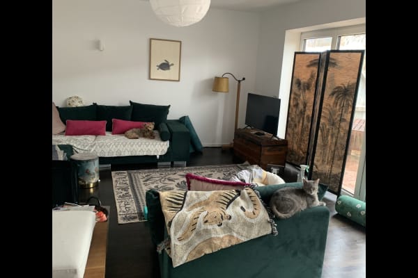 House sit in Bad Tölz, Germany