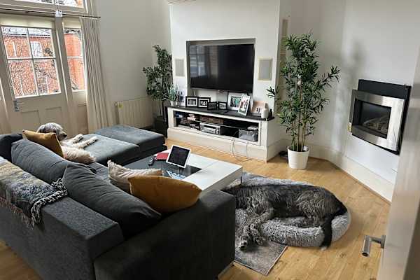 House sit in London, United Kingdom