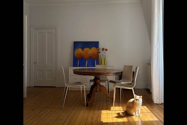 House sit in Newport, RI, US