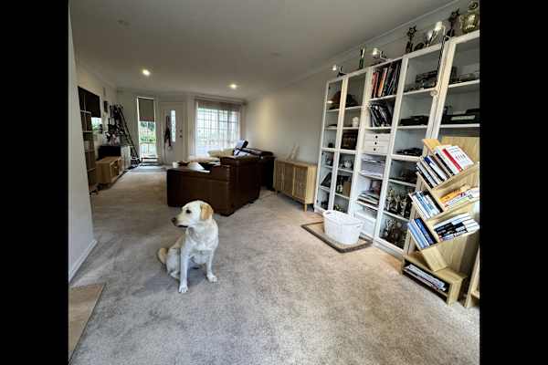 House sit in Reidtown, NSW, Australia