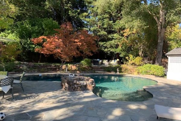 House sit in Lafayette, CA, US