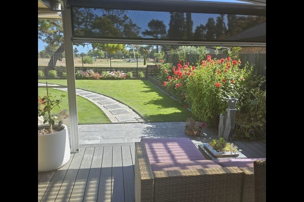 House sit in Christchurch, New Zealand