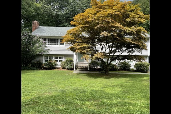 House sit in Rowayton, CT, US