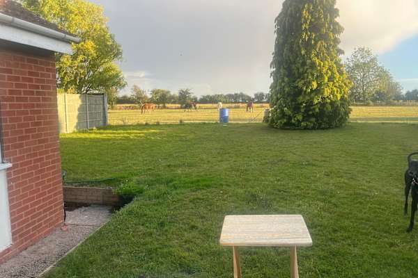 House sit in Treswell, United Kingdom