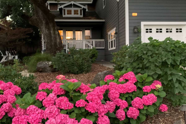 House sit in Sonoma, CA, US