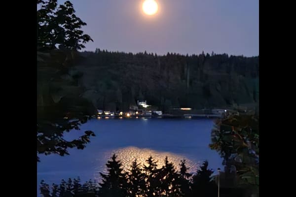 House sit in Bremerton, WA, US