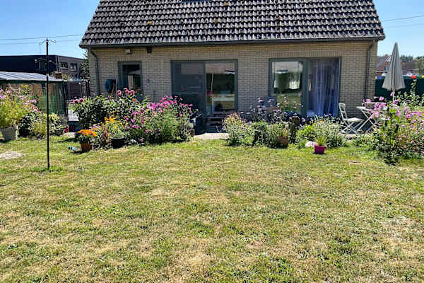 House sit in Oostham, Belgium