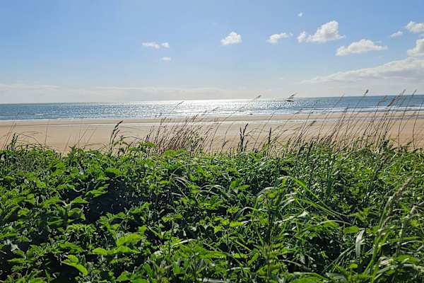 House sit in Bridlington, United Kingdom