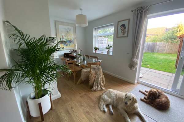 House sit in Woking, United Kingdom