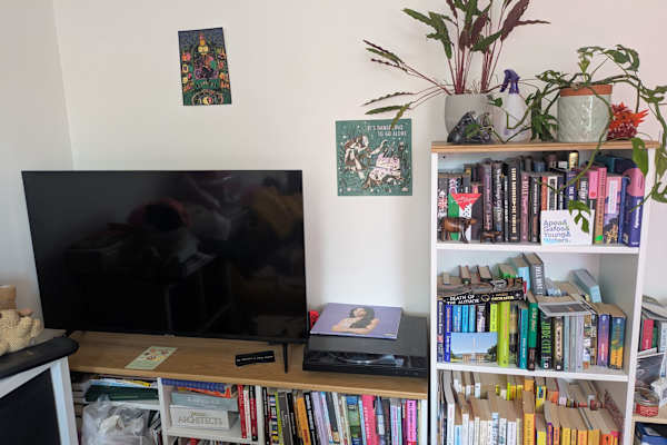 House sit in Sheffield, United Kingdom