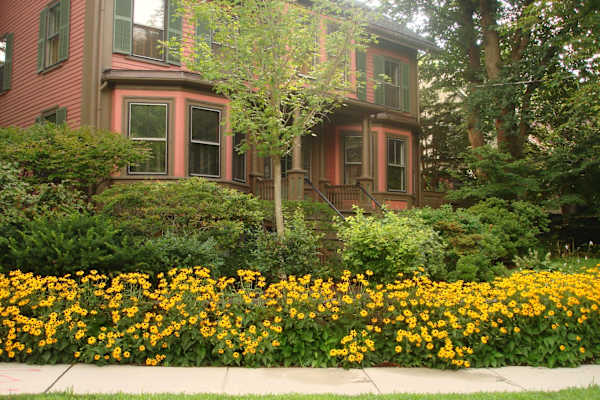 House sit in Huron Village, MA, US