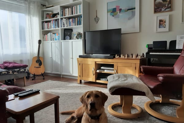 House sit in Motherwell, United Kingdom