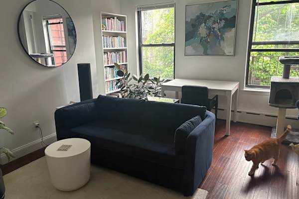 House sit in Brooklyn, NY, US