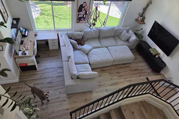 House sit in Henderson, NV, US